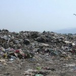 smeti6te_calapica_02